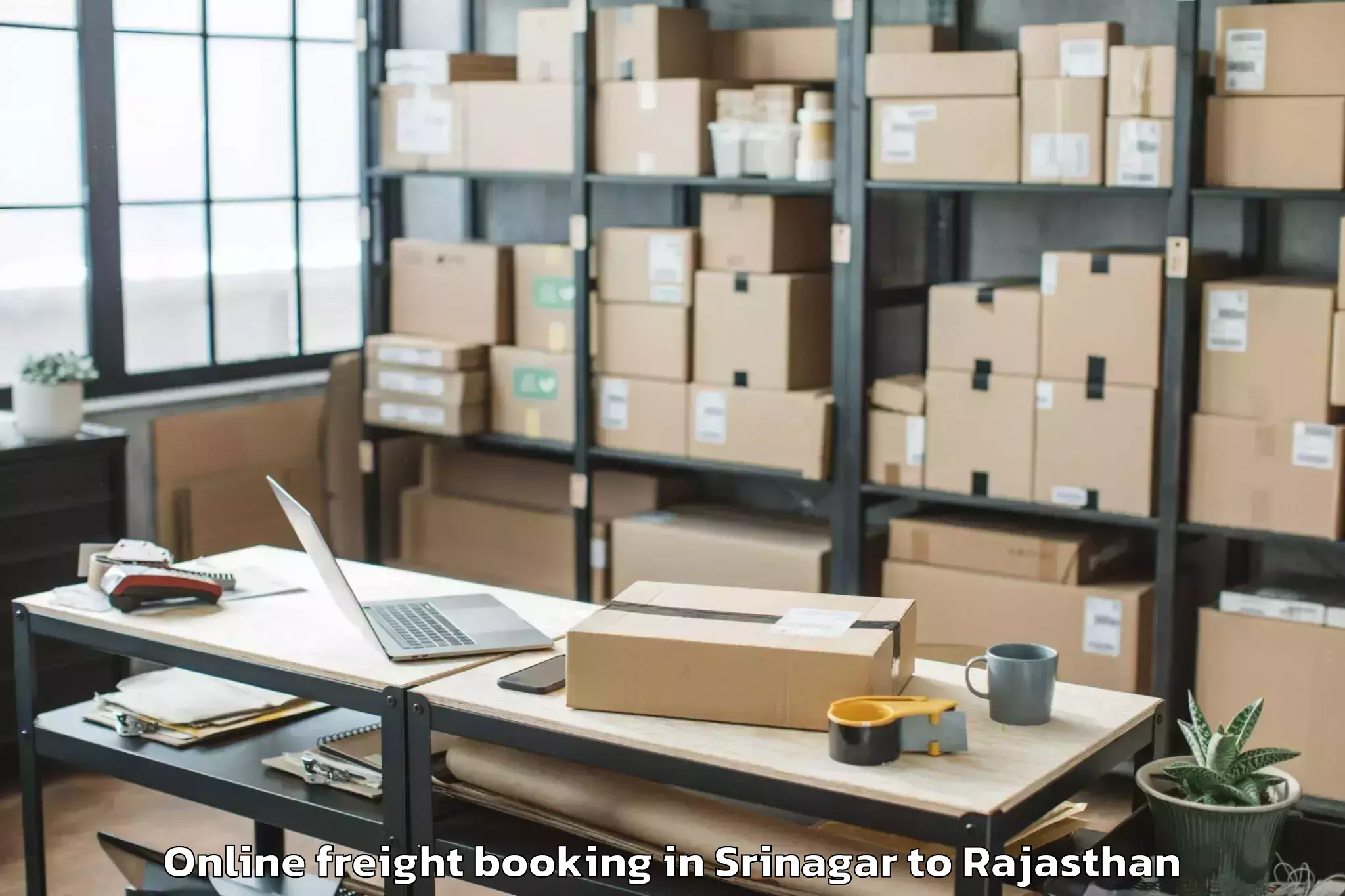 Reliable Srinagar to Chhoti Sadri Online Freight Booking